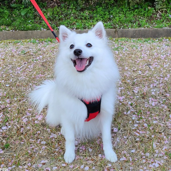 三鈴ちゃん