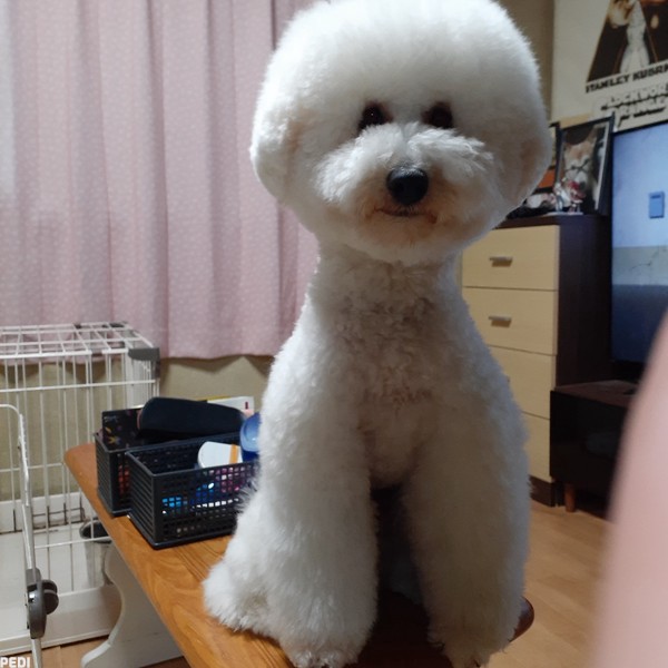 フレンダーくん