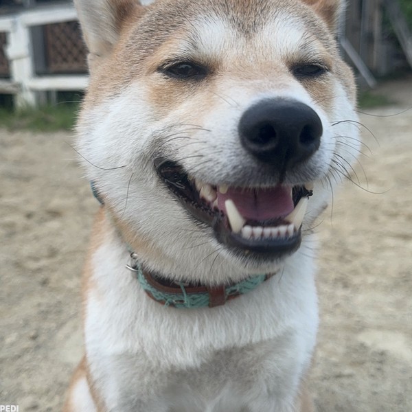駿太くん