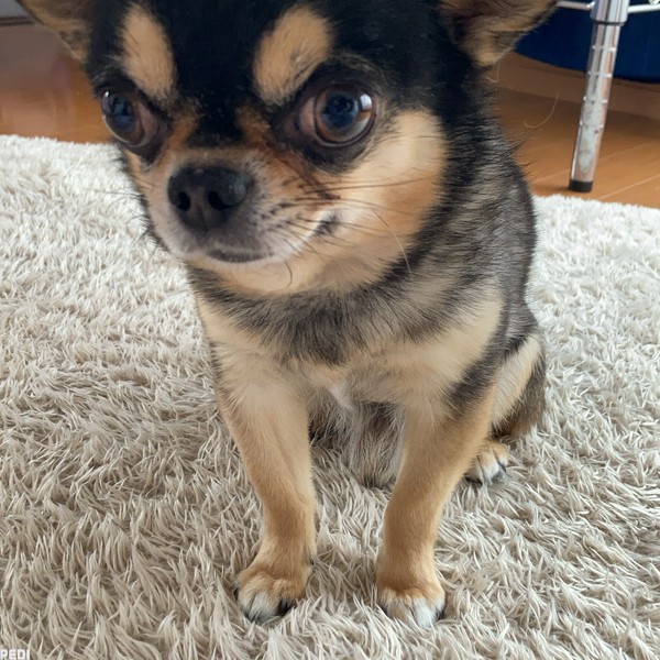 Jくん