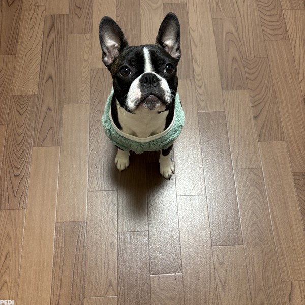 ラテくん