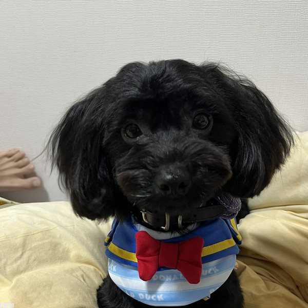 れんくん