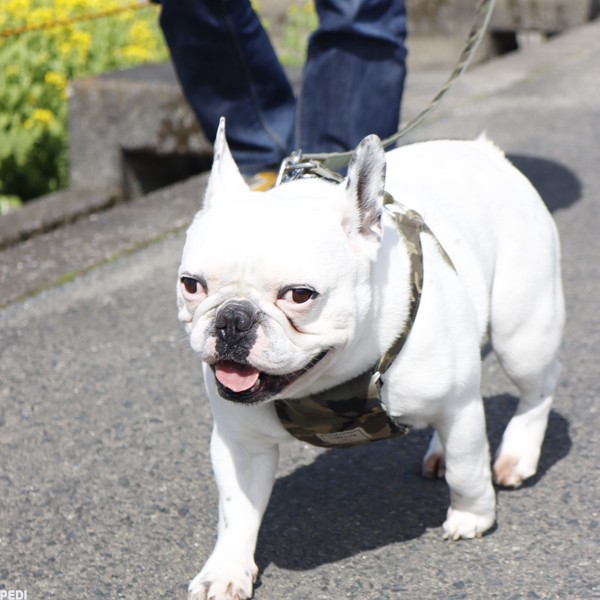 剛くん