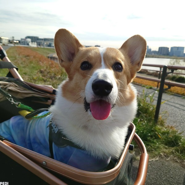 コウタくん