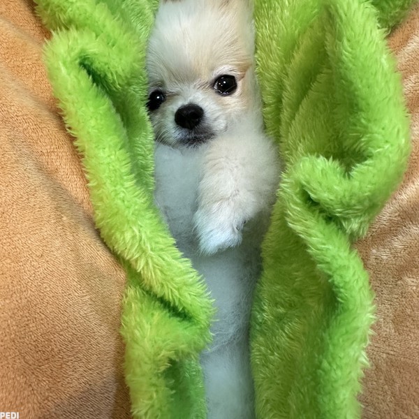 そらちゃん