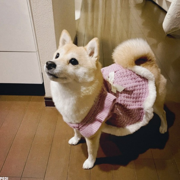 さくらちゃん