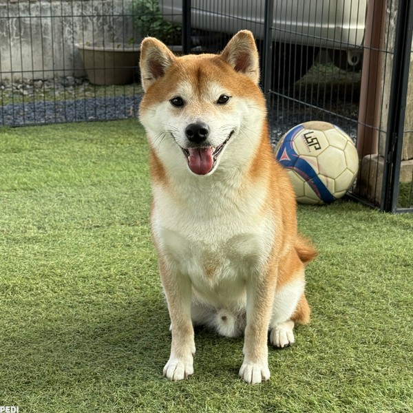 睦くん