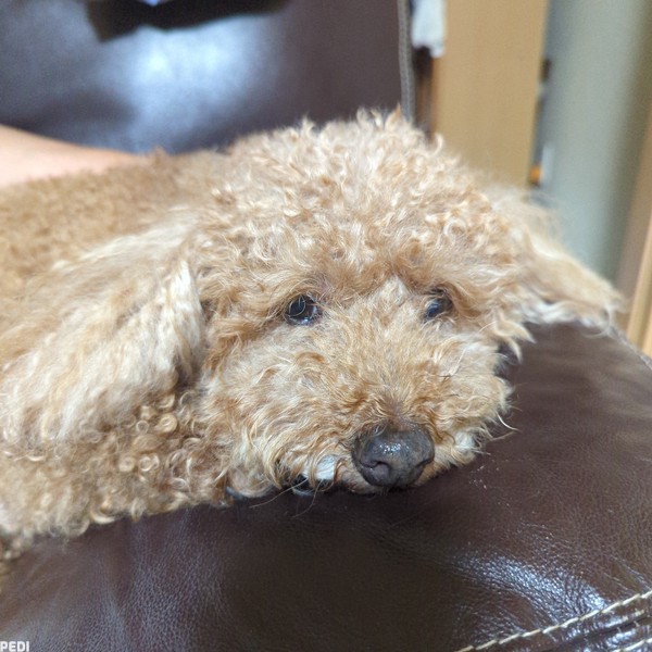 小鉄くん