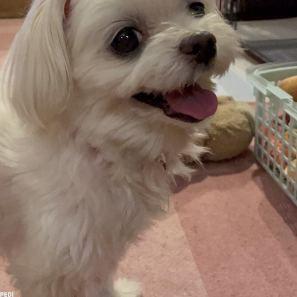 みるきぃちゃん