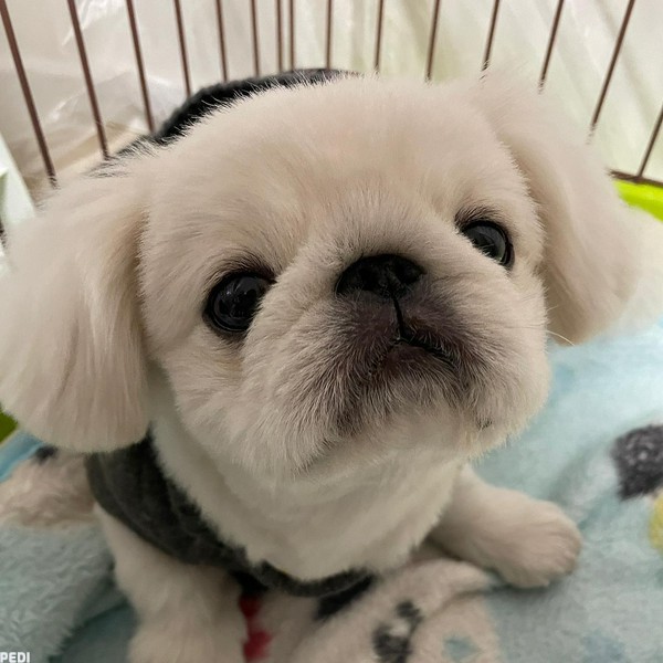 たくぞうくん