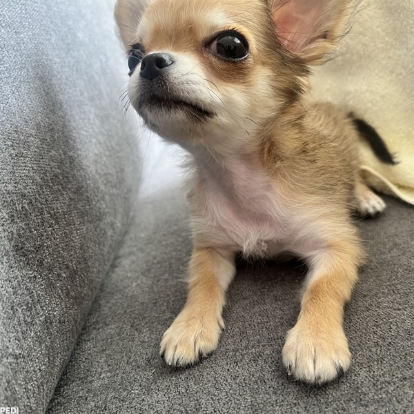 ララちゃん