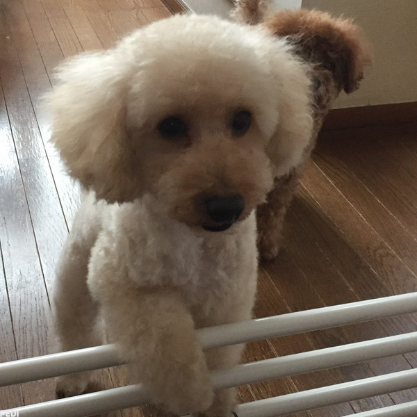 くうたくん