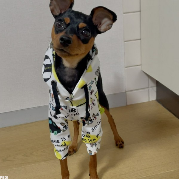 ちょびんちゃん