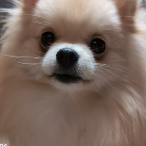 茉央ちゃん