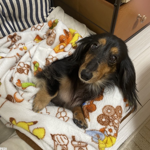 ララちゃん