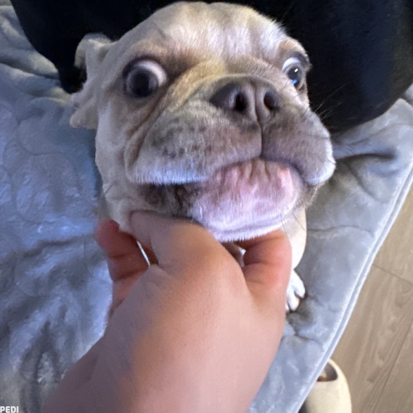 アムちゃん