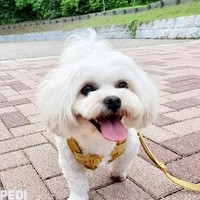 のんちゃん
