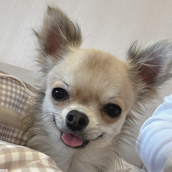 うたくん