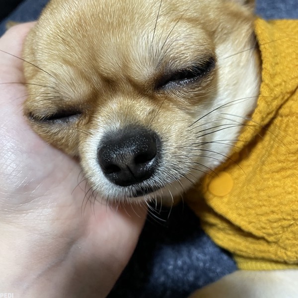 ぺこちゃん