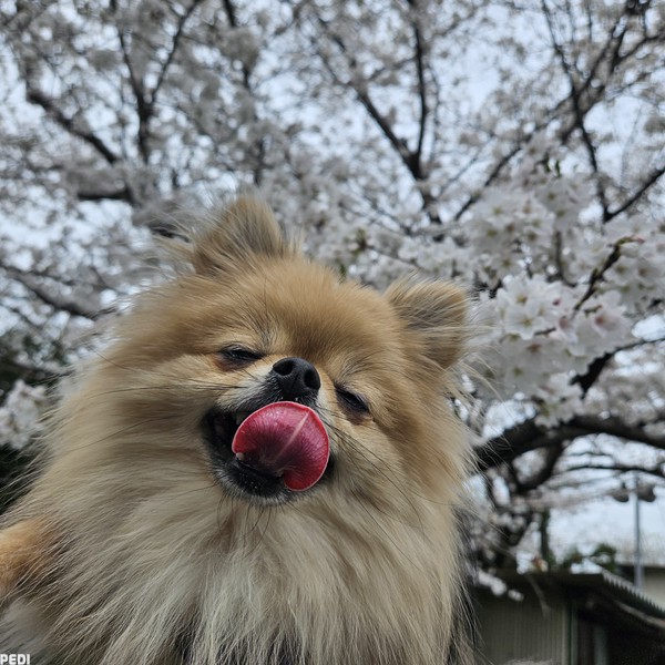 キキちゃん