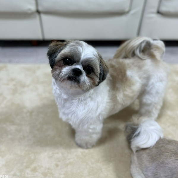 レオンくん