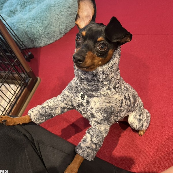 ボスくん