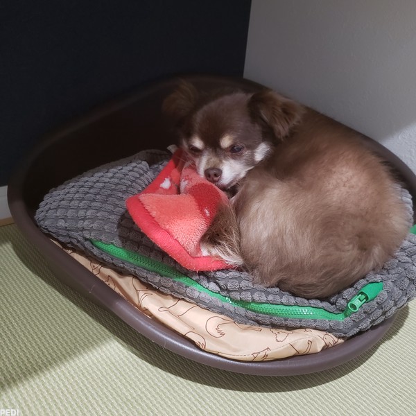 Maroちゃん