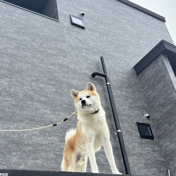 リキくん