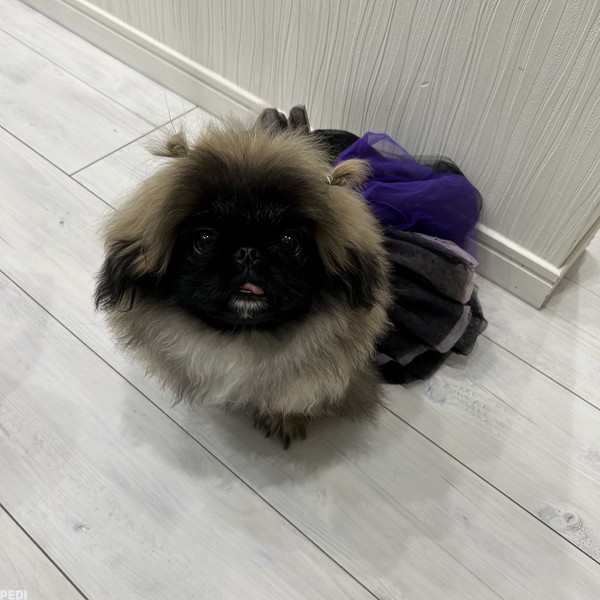 のちちゃん