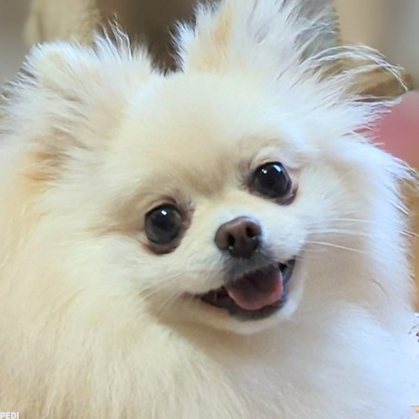 唯ちゃん
