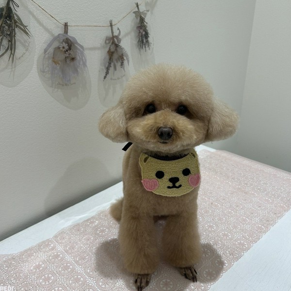 ラムちゅちゃん