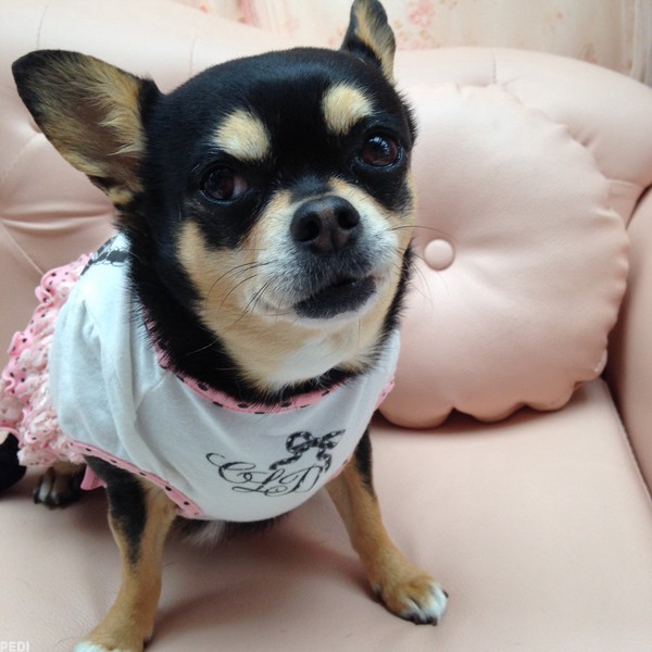 いちご姫ちゃん