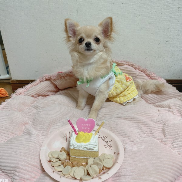 ウタちゃん