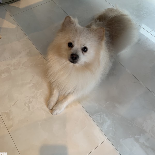 大吉くん
