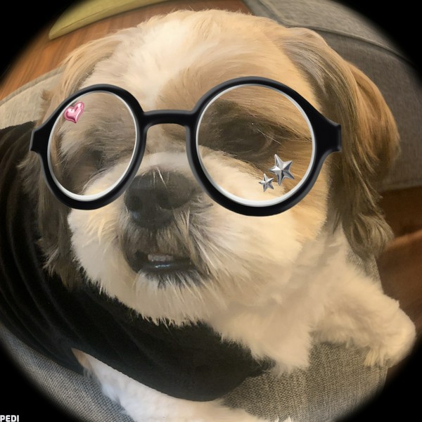ゆずくん