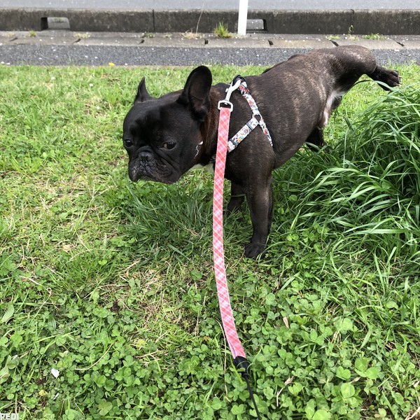 諭吉くん