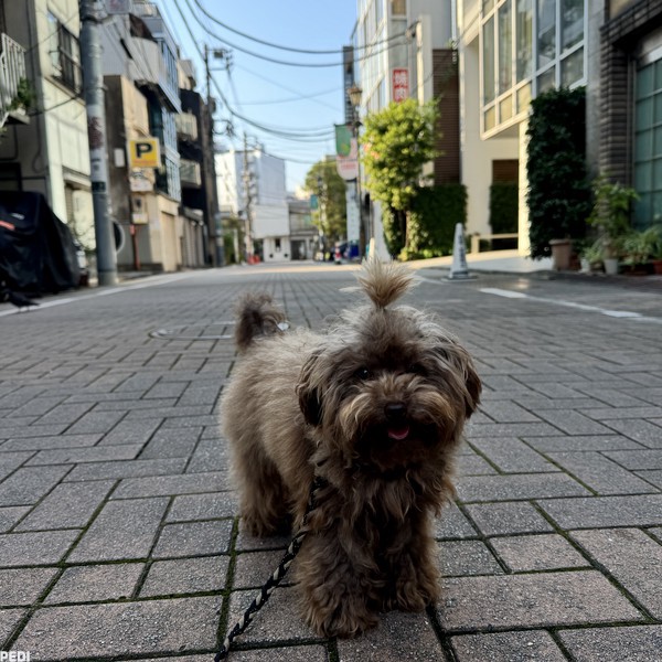 マロアちゃん