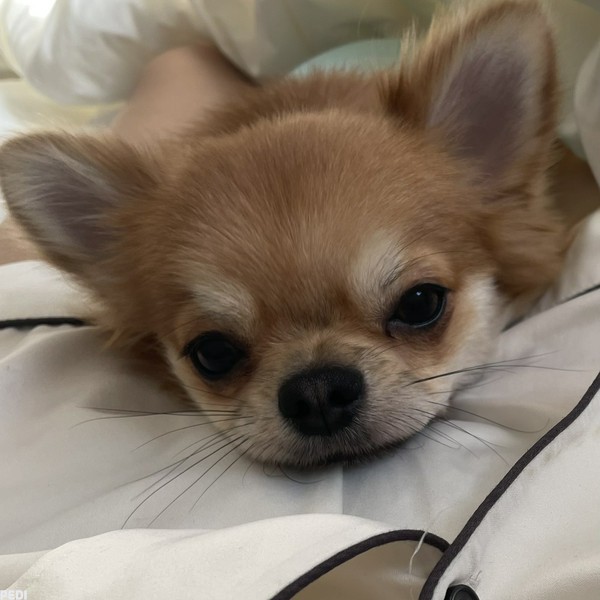 ぽん汰くん