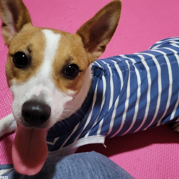 たるちゃん