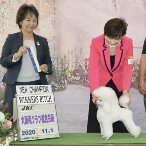 ユッキーちゃん