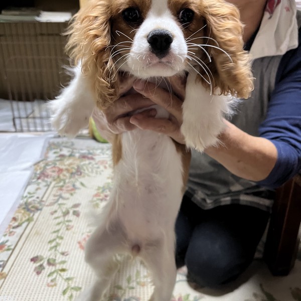 ジェニーちゃん