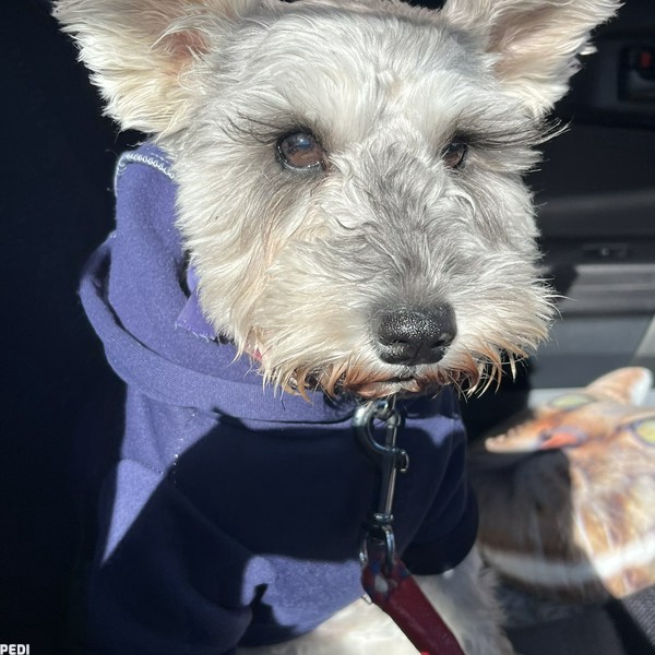 マーシーちゃん