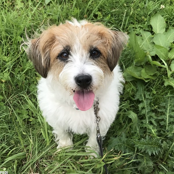 チェリーちゃん