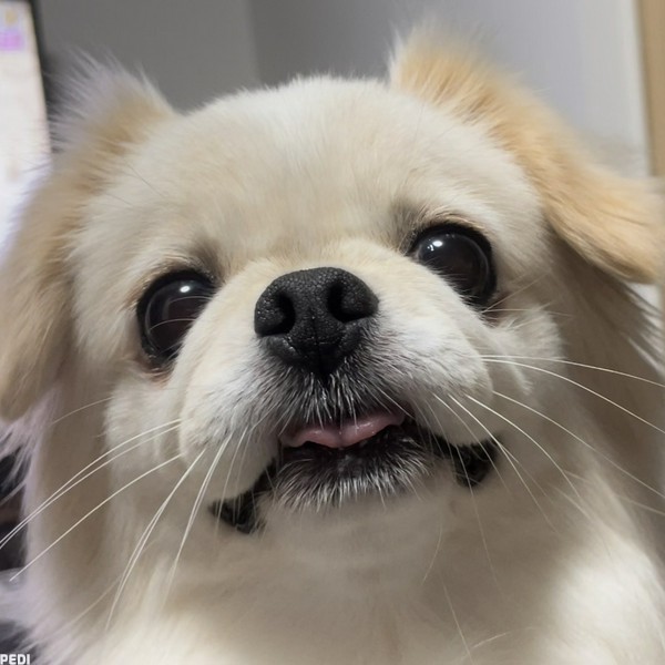 レティーちゃん