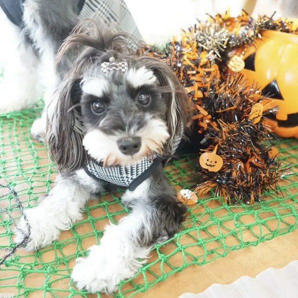 ミリミリちゃん