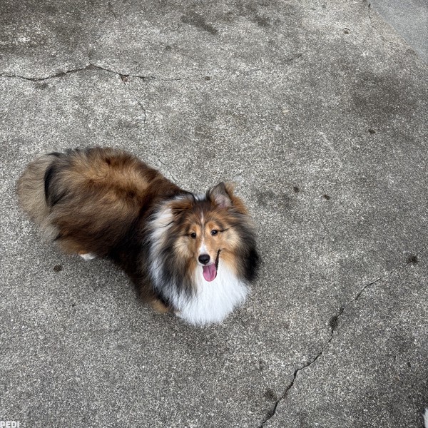 陽音（おと）くん