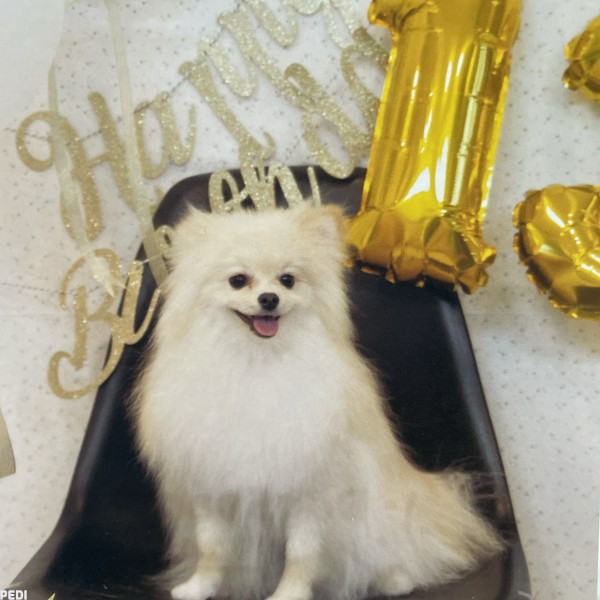 ひまわりちゃん