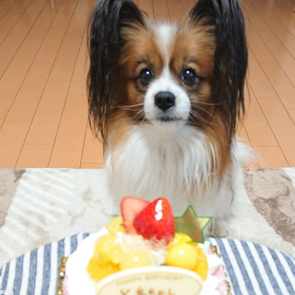 とあくん