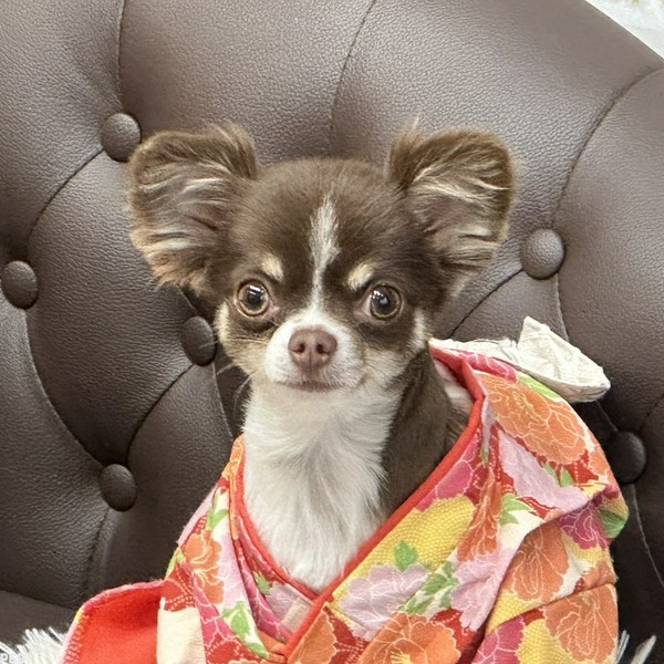 くぅちゃん