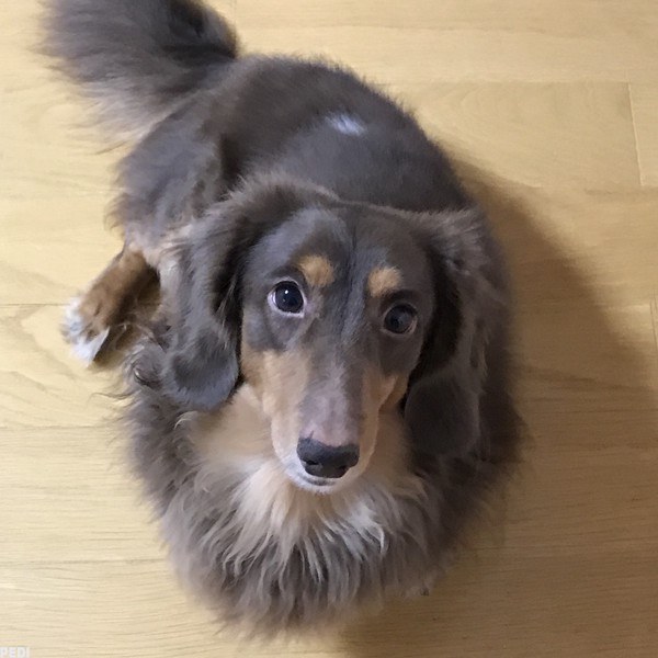 麿くん